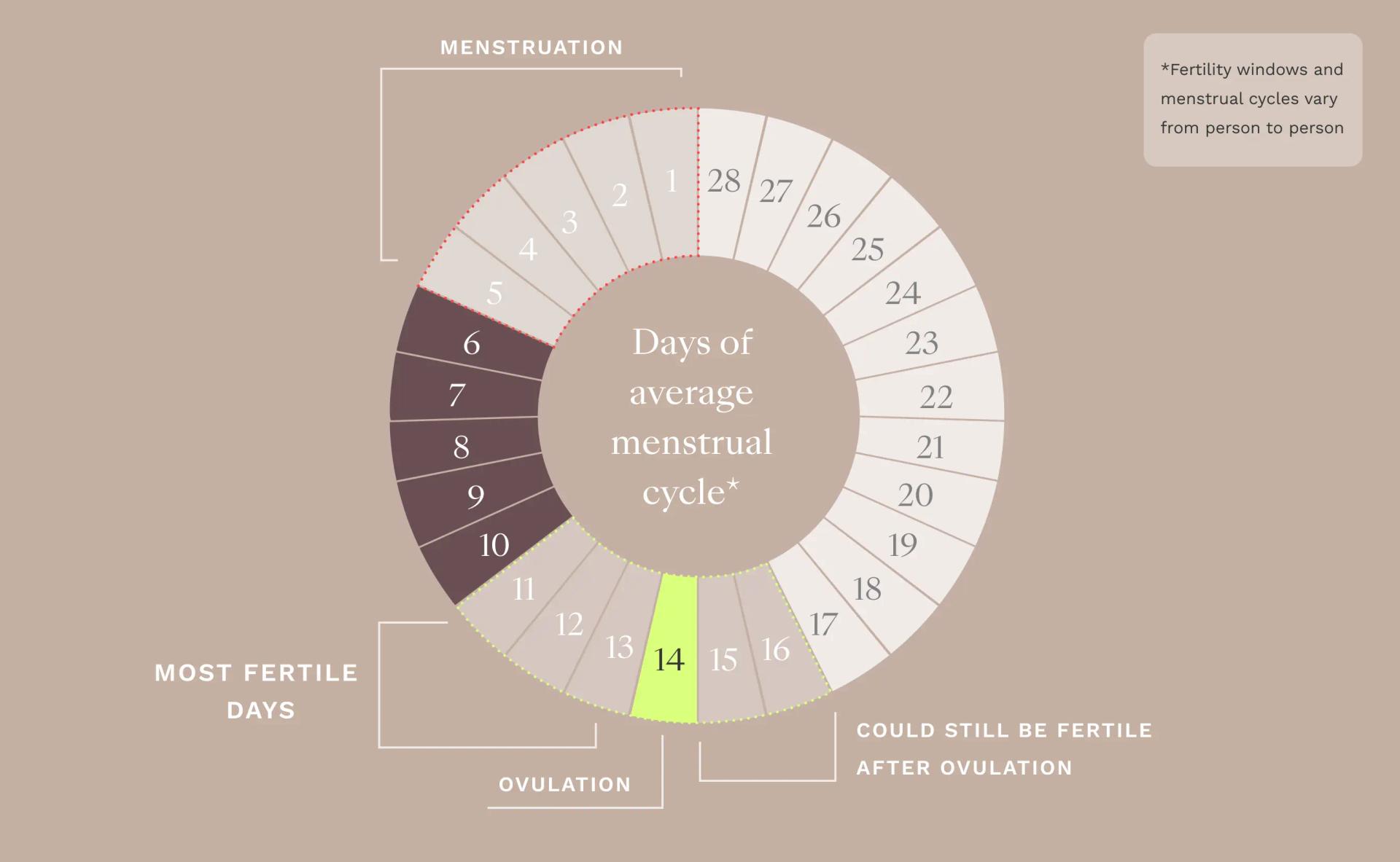 Tips to conceive chart