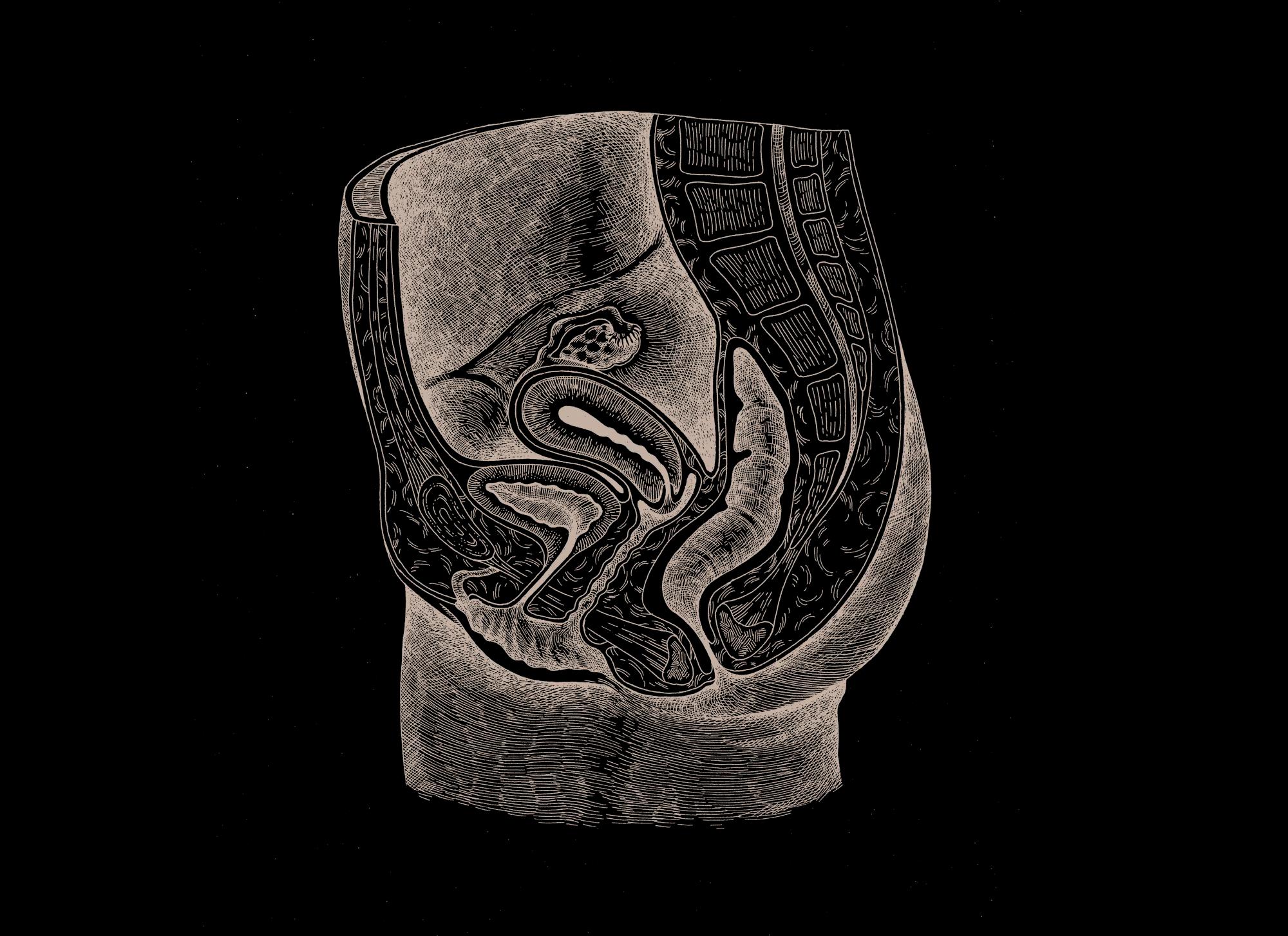 Overlay Image