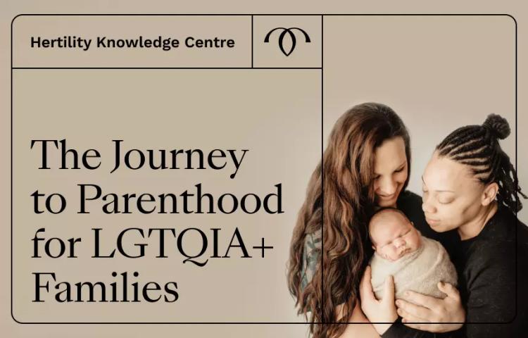 The Journey to Parenthood for LGBTQ+ Families
