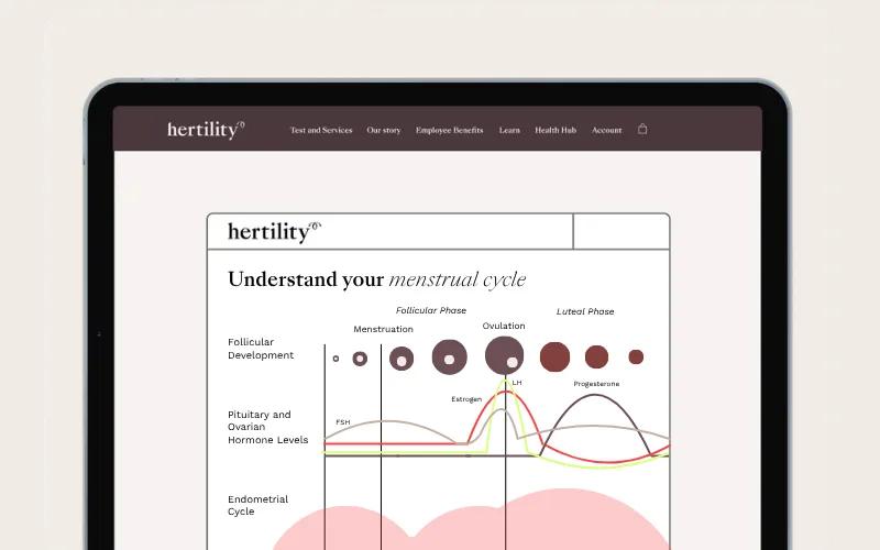 Understand your menstrual cycle