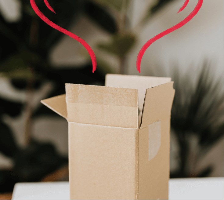 Secure and discreet delivery - Hertility Health