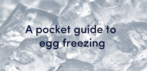 A Pocket Guide to Egg Freezing